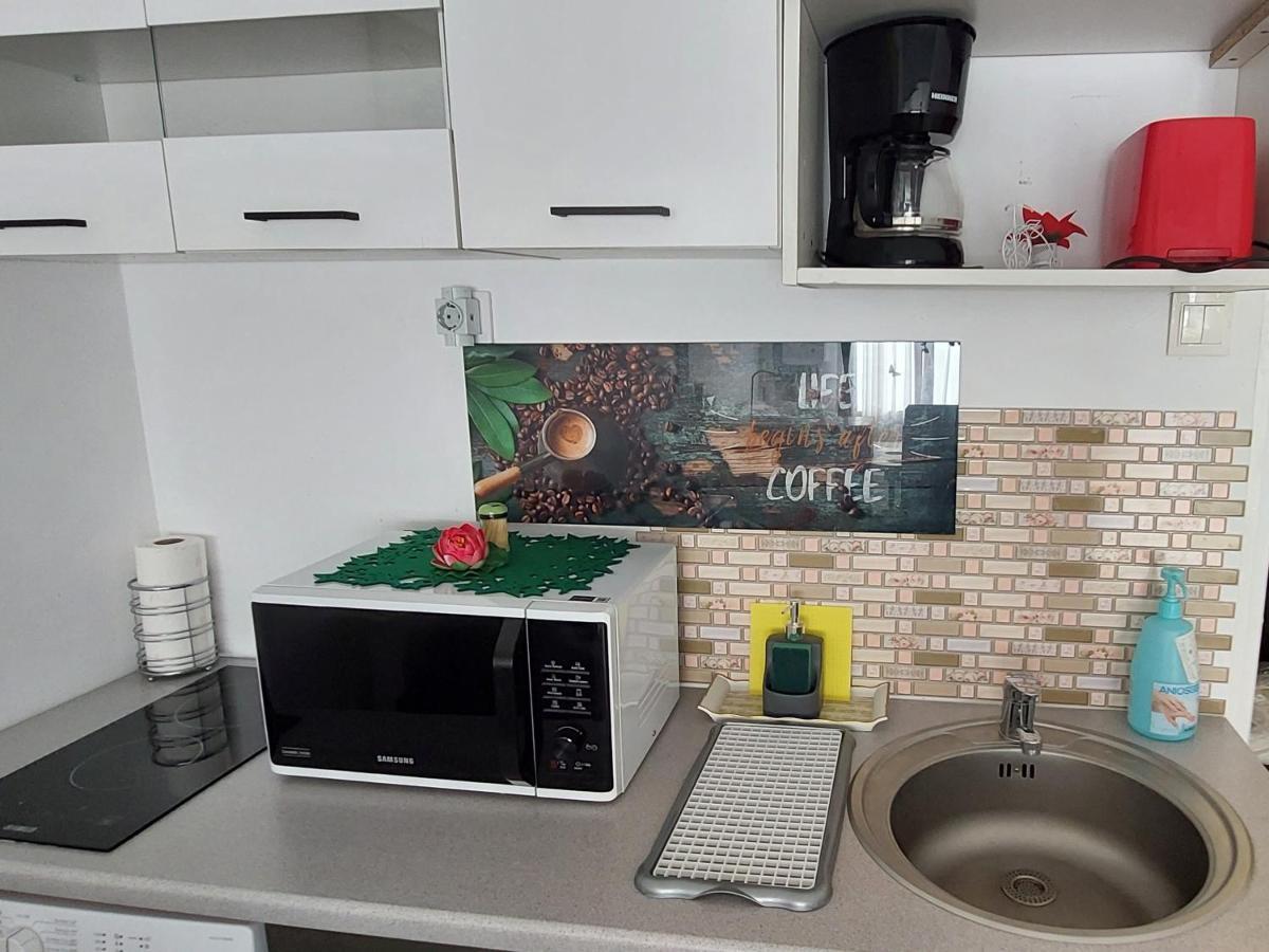 Studio Adela Пояна-Брашов Экстерьер фото